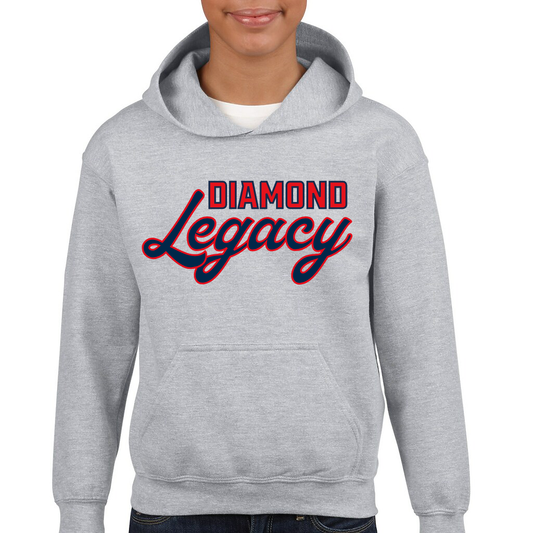 DLB Gildan youth hoodie